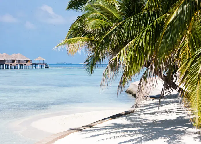 Adaaran Prestige Vadoo — beach (photo 4 of 8)