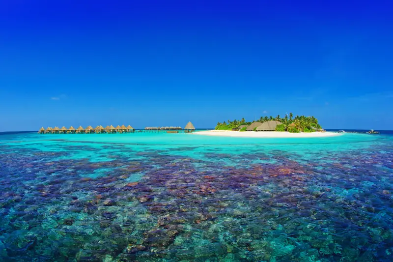 Angaga Island Resort and Spa — aerial view (photo 8 of 8)