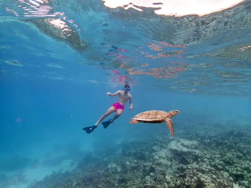 Eri Maldives — house reef (photo 7 of 8)