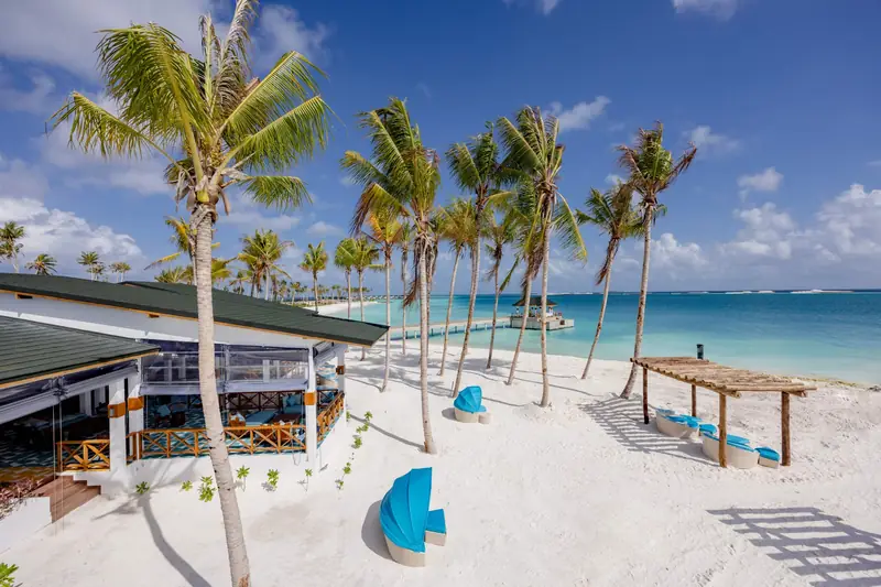 Joy Island — dining (photo 5 of 8)