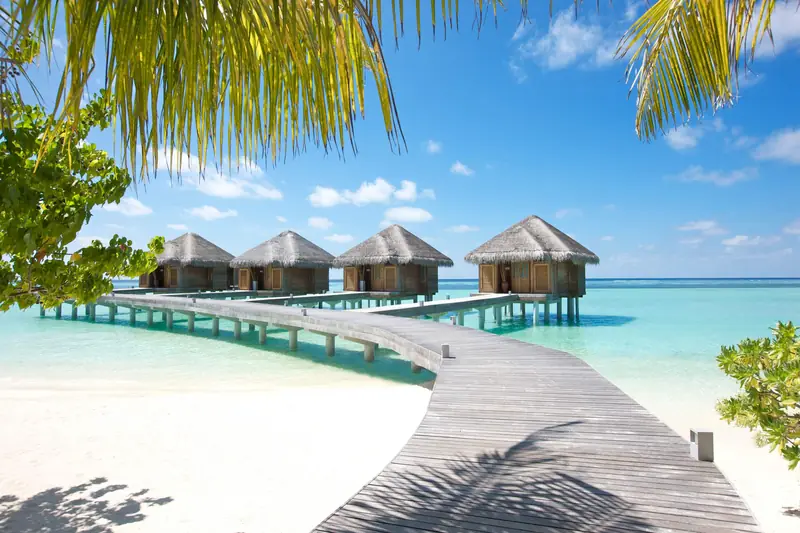 LUX South Ari Atoll, Maldives — beach (photo 6 of 8)