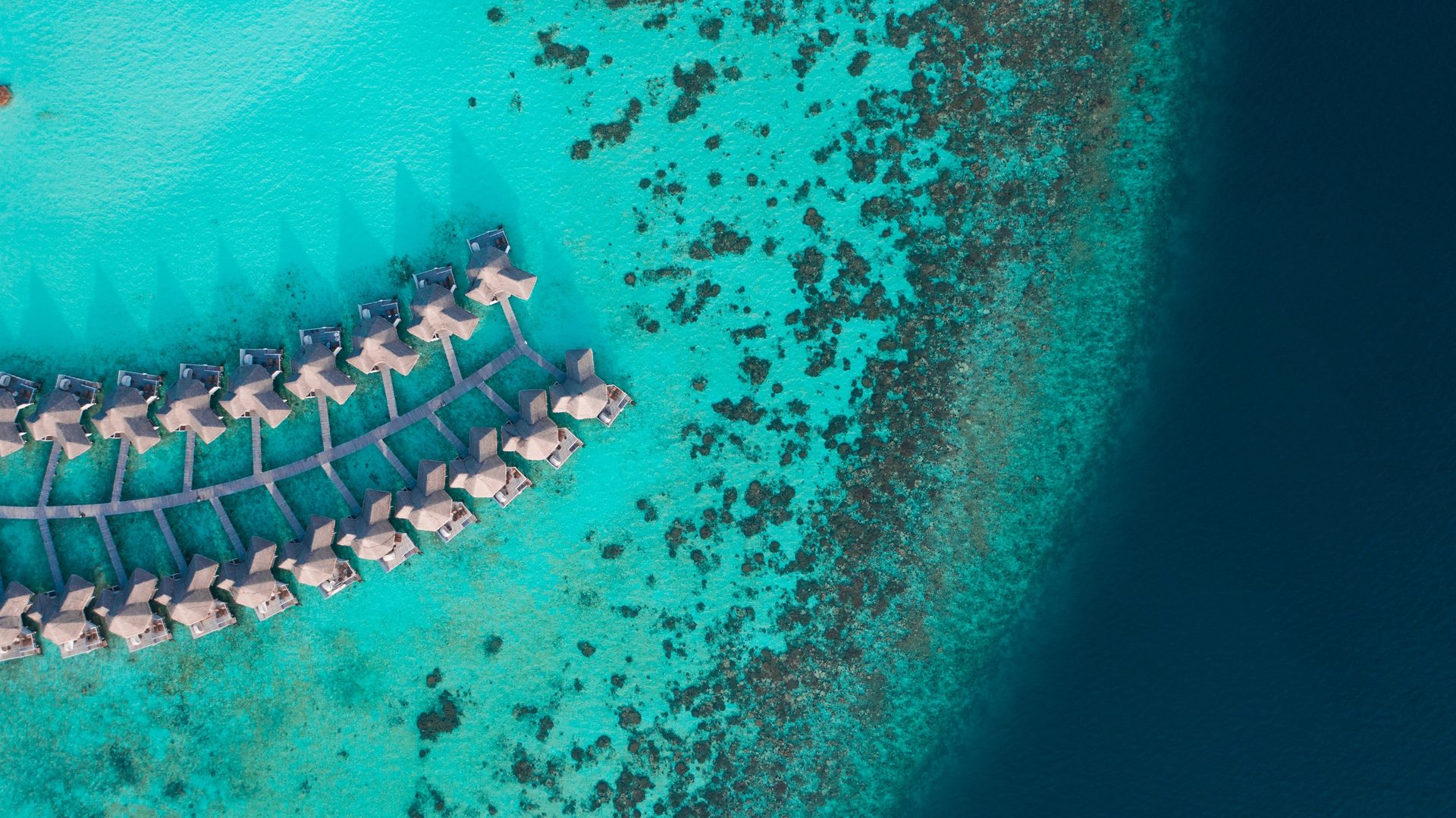 Drift Thelu Veliga Retreat — official resort photo