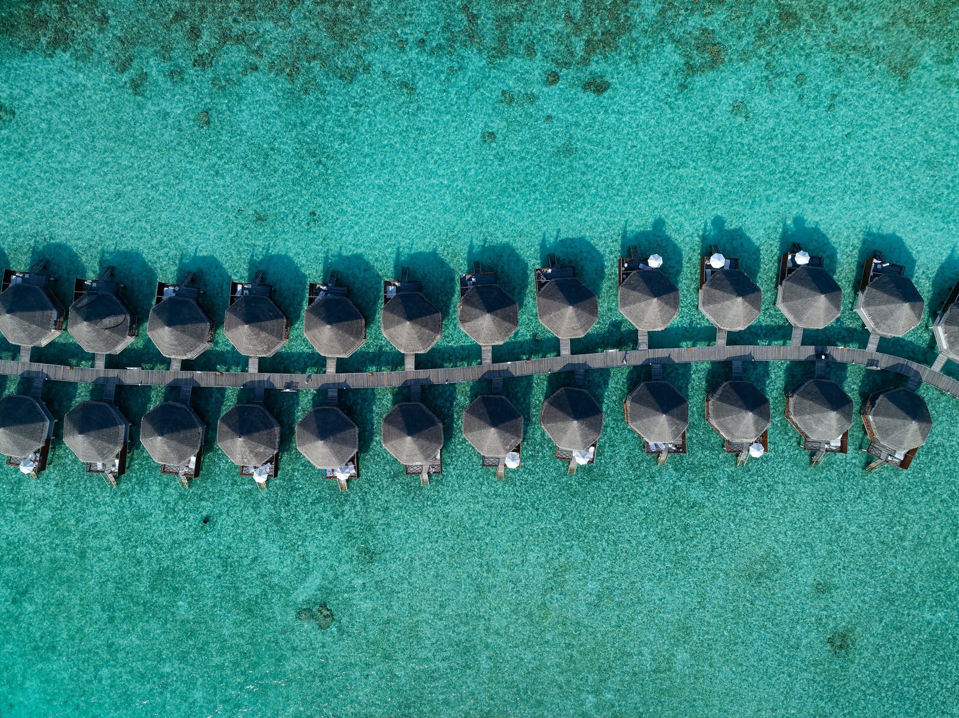 Safari Island Resort & Spa — official resort photo
