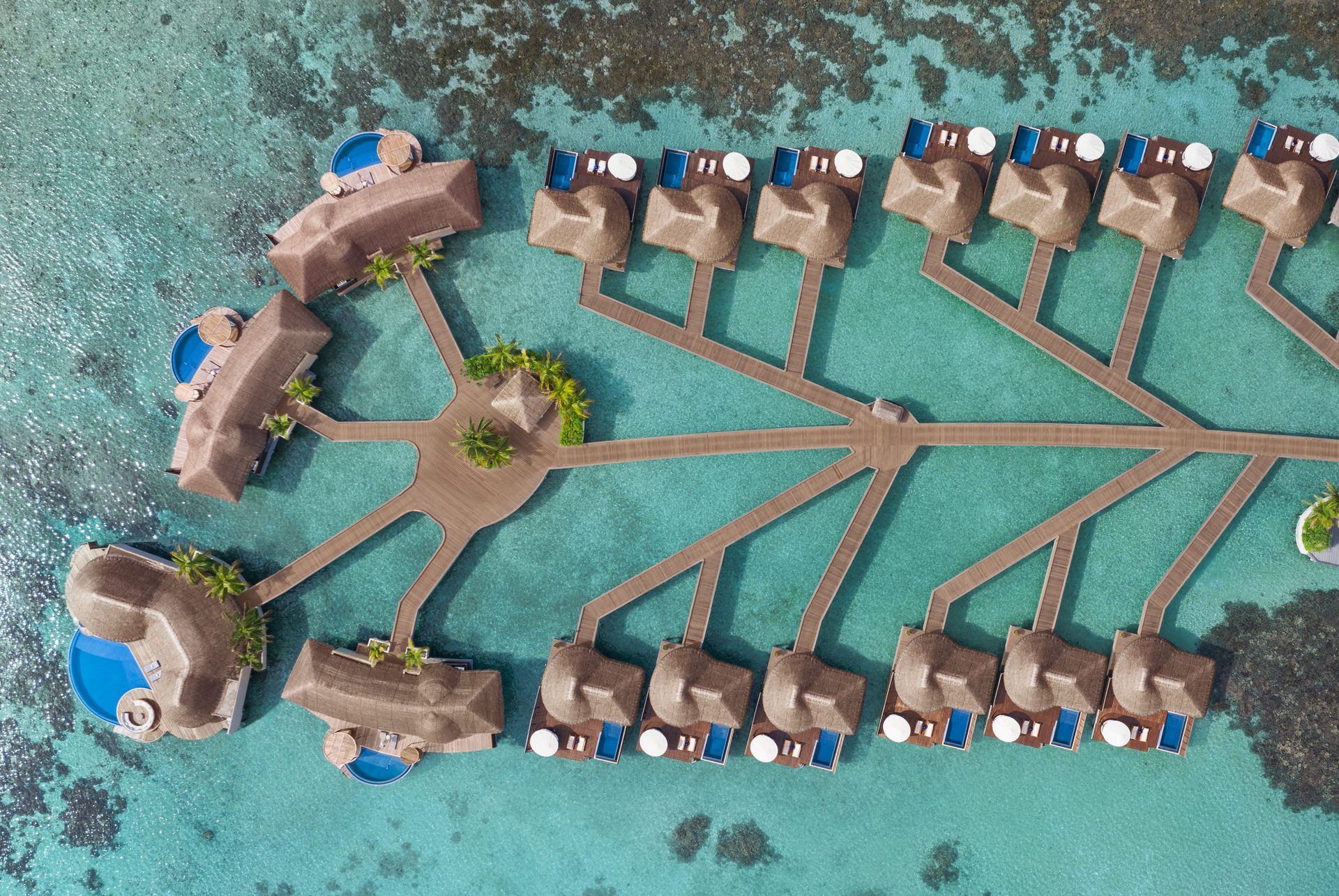 W Maldives — official resort photo